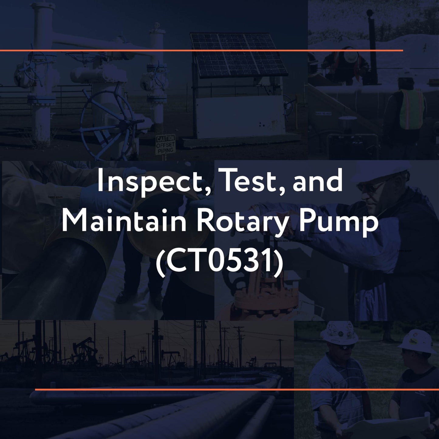 CT0531: Inspect, Test, and Maintain Rotary Pump