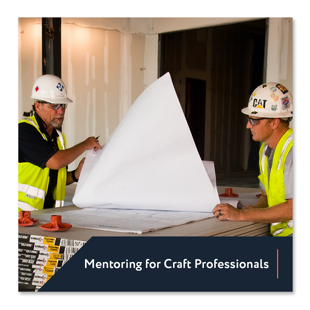 Mentoring for Craft Professionals (Course Only)