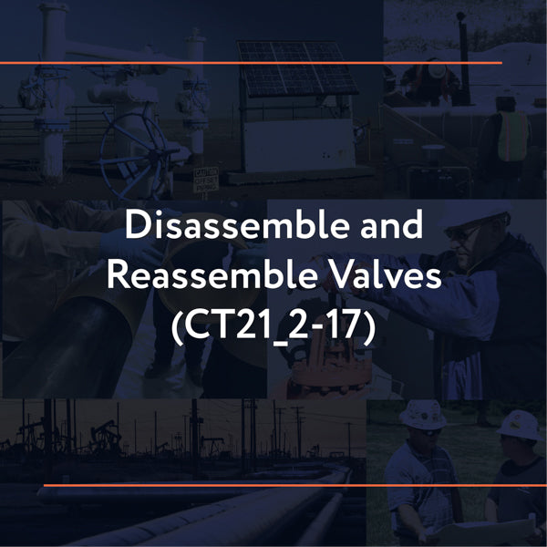 CT21_2-17: Disassemble and Reassemble Valves