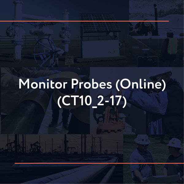 CT10_2-17: Monitor Probes (Online)