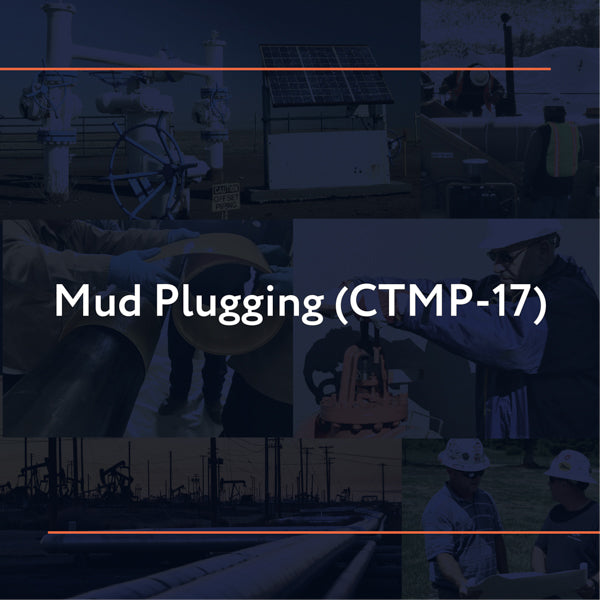 CTMP-17: Mud Plugging