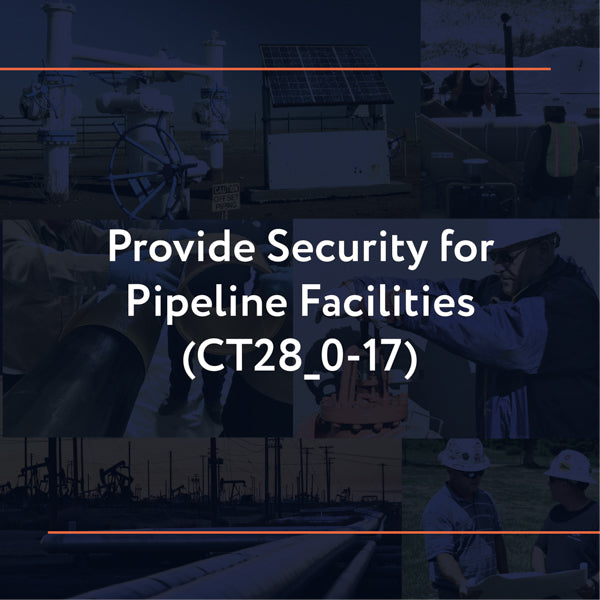 CT28_0-17: Provide Security for Pipeline Facilities