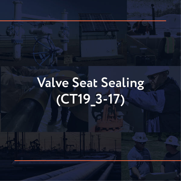 CT19_3-17: Valve Seat Sealing