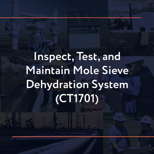 CT1701: Inspect, Test, and Maintain Mole Sieve Dehydration System