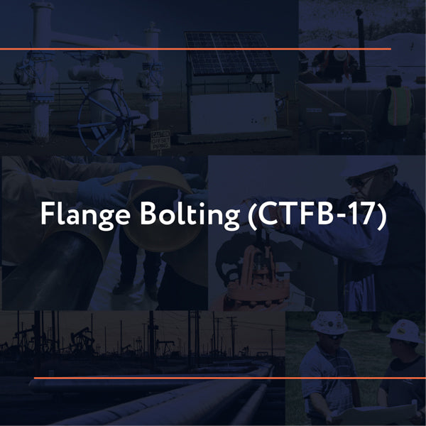 CTFB-17: Flange Bolting