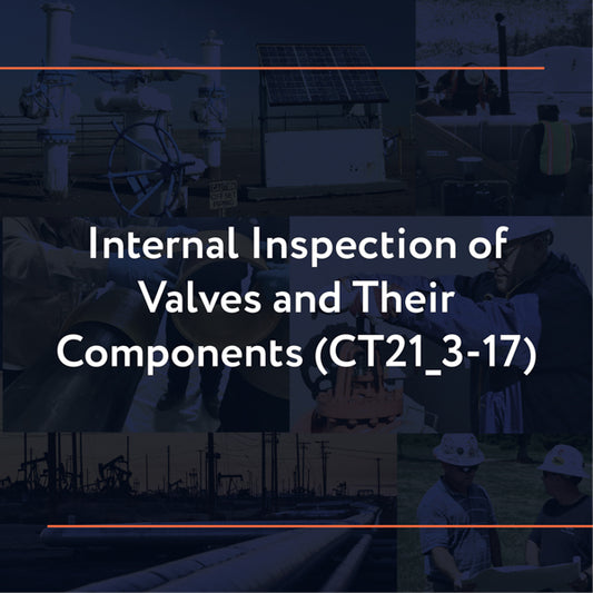 CT21_3-17: Internal Inspection of Valves and Their Components
