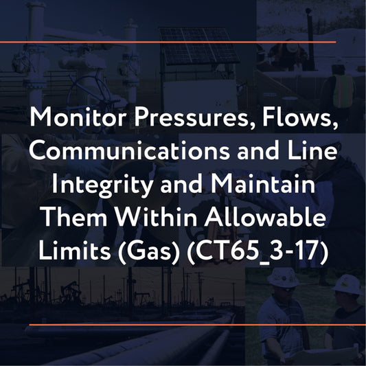 CT65_3-17: Monitor Pressures, Flows, Communications and Line Integrity and Maintain Them Within Allowable Limits (Gas)