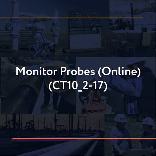 CT10_2-17: Monitor Probes (Online)