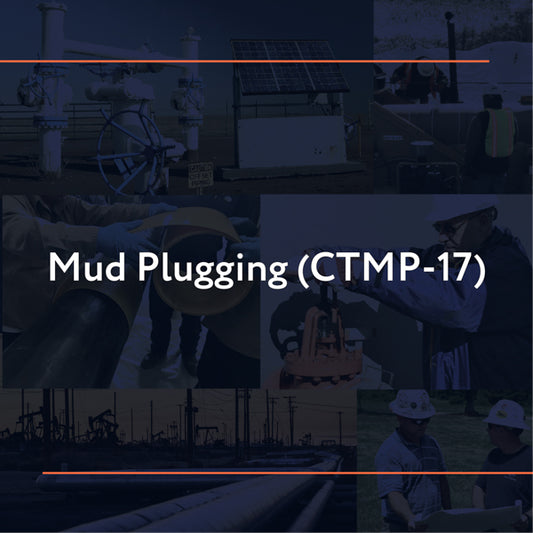 CTMP-17: Mud Plugging