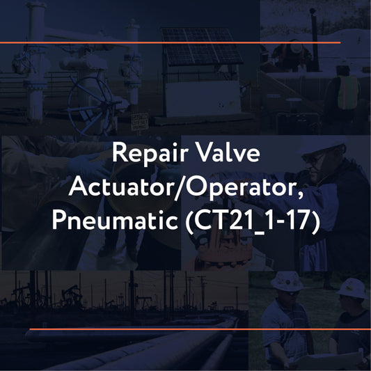 CT21_1-17: Repair Valve Actuator/Operator, Pneumatic